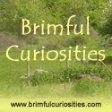 Brimful Curiosities : Sometimes children's books ... sometimes not