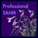 Professional SAHM : Celebrating the profession of being a stay-at-home mom 