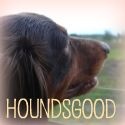 HoundsGood : Chronicles of a Virtual Volunteer