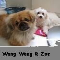 Wang-Z : Khim's furry friends