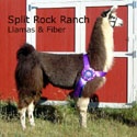 Split Rock Ranch : Llamas, Fiber & Fiber Art