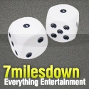7milesdown : Making Magic Happen on a little Island Paradise