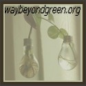 Way Beyond Green : going beyond the conventional into deep sustainability