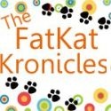 The FatKat Kronicles : Life from the perspective of 4 fat, spoiled kitties
