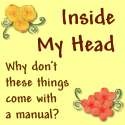 Inside My Head : Why don't these things come with a manual?
