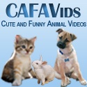 CAFAvids : Cute and Funny Animal Videos.