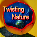 TwistedThicket : Art on Nature's Canvas