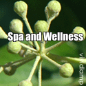 Spa and Wellness  : healing, natural cure, wellness, organic, diabetis, cancer, ayurveda