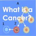 Cancer Prevention : Cancer Prevention for life