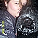 Living With A Giant : dogs,pets,schnauzer,giant,life,living