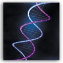 World of Biochemistry : 