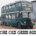 One Old Green Bus : A bus, a family, a dream... and a heck of a lot more!