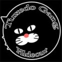 Tuxedo Gang Hideout : Tuxedo cats, Tuxies