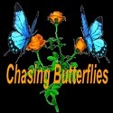 Chasing Butterflies : 