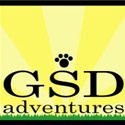 GSD Adventures : German Shepherd Brother and Sister Team Ready for Adventure