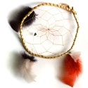 The Dreamcatcher : 