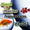 fresh 'n' marine aQuarium Blog : freshnmarine, fish, aquarium, reef, freshwater, saltwater