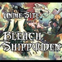 Bleach Shippuuden | Your Quality Anime Site : Naruto,bleach,anime