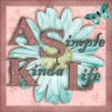 A Simple Kinda Life : product reviews, parenting, contests, and more!