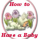 How to Have a Baby : One Woman's Journey