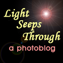 Light Seeps Through : 