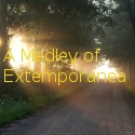 A Medley of Extemporanea : 