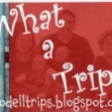 What a Trip! : Our crazy life with six kids including infant triplets!
