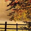 Travel Sceneries : Travel Scenes, Postcards, Airports, Hotels, Tourist spots, Places