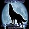 Blues City Radio : Bloggin' the Blues from an Internet Blues Radio site