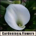 Gardening and Flowers : 