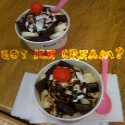 Got Ice Cream? : 
