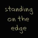 Standing On The Edge : 