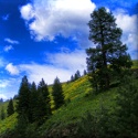 Idaho Daily Photo : Photos,drawings,cartoons,animated gif's, photoshop