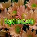 Blogopinionz : personal, parenting, life, living, travel, business, health, education, etc
