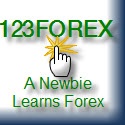 Forex Tips and Product Reviews : A Newbie Learns Forex