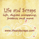 Life and Scraps : 