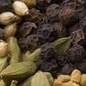 goodfoodguide : pune restaurants 
