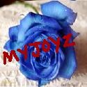 MyJoyz : Taste Of Heaven