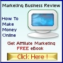 Make Money Online Tips and Reviews About Biz Opportunities : Make Money Online