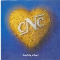 Diamond Jewellery : Diamond Jewellery, Gold Jewellery, Platinum Jewellery. Silver jewellery
