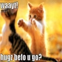 Hugz Before You Go : 