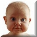 Web Keywords Tracker : Got Fresh Milk?
