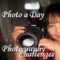 Photo a Day and Photography Challenges : Photography, Challenges, Meme, Photo a Day