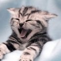 WhimsicalGreetings.com : Finance and Investing