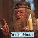 Senior Minds : mental,health,depression
