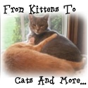 From Kittens To Cats And More : If You Can't Take Care Of Them, Then Don't Get One!