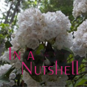 In A Nutshell : Family lifestyle, gardening, wildlife encounters, travels, health and home