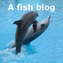 A fish blog : fish, fishing, biology, history