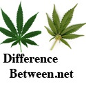 Difference Between Similar Things : 