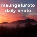 Maungaturoto Daily Photo : daily photos from the kaipara